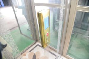 CE sertifikalı 300KG hidrolik otomatik Motor ev tipi asansör 2-4 kat iç ve dış engelliler için otel Villas için - Product Image 3