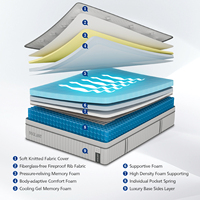 Matelas Hybride à Ressorts Ensachés en Mousse à Mémoire de Forme 14 Pouces, Sans Fibre de Verre, Livraison Gratuite