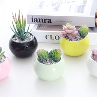 Pot de fleur moderne en céramique émaillée Petit Cactus charnu Design respirant Boule lumineuse Maison Jardin Décoration de bureau Plantes en pot