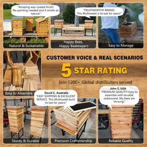 Nueva Colmena Dadant de Madera de Abeto Chino de 24mm y 10 Cuadros, Equipo de Apicultura con Tapas Exteriores/Interiores y Set de Super Caja - Product Image 2