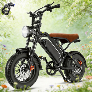 Bicicleta Eléctrica Impermeable de 250W sin Escobillas, 48V, Batería de Litio Extraíble, 32 Millas de Autonomía, Frenos de Disco Dobles, para Adultos, para Europa - Product Image 1