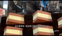 Wanlisonic Machine à snacks Machine à ensacher semi-automatique pour gâteau et pain en triangle pour équipement de boulangerie