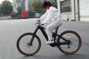 Bicicleta Eléctrica <span class=keywords><strong>de</strong></span> Montaña Bafang M820 con Cuadro <span class=keywords><strong>de</strong></span> Carbono, Suspensión Completa, Horquilla <span class=keywords><strong>de</strong></span> Aleación <span class=keywords><strong>de</strong></span> Aluminio, 11 Velocidades para Frenos <span class=keywords><strong>de</strong></span> Disco Hidráulicos, 48V - Product Image 3