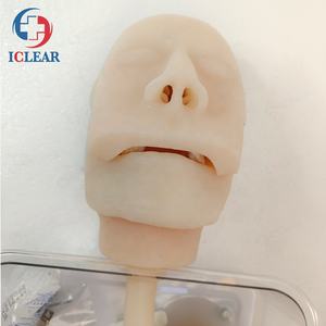 Modèle d'examen et de formation <span class=keywords><strong>ERCP</strong></span> de haute Simulation - Product Image 2