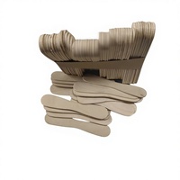Bâtonnets de crème glacée en bois de bouleau, cuillères biodégradables, écologiques, jetables, DIY, faits maison, emballage individuel