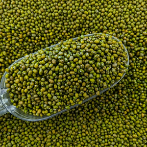 Frijoles Mung Verdes de la India Fresh Fittree International, Calidad Premium, Nueva Cosecha, Legumbres Enteras, 24 Meses de Caducidad, Venta al por Mayor para Exportación - Product Image 1