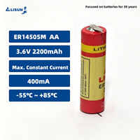 Batería AA Li-SOCl2 ER14505M de 3.6V y 2200mAh con Terminales para Soldar, Directo de Fábrica, OEM Personalizado