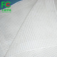 130gsm Heavy Duty Léger Clair HDPE Bâche Étanche En Plastique pour Serre Tomate L'élevage Vignoble Couverture