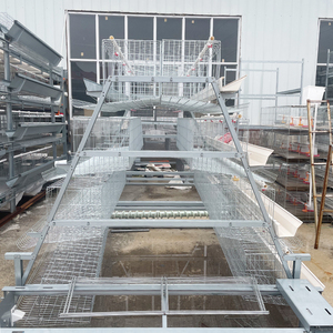 <span class=keywords><strong>Cage</strong></span> à poules pondeuses de type A à alimentation automatique pour élevage en batterie, avec nettoyage manuel du fumier par manivelle - Product Image 2