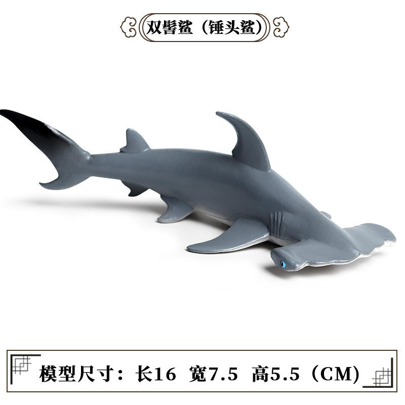 M-446 hammerhead Shark