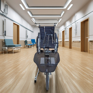 Chine Tricycle à handicap manuel personnalisable confortable facile à transporter équipement de rééducation de recul de <span class=keywords><strong>fauteuil</strong></span> <span class=keywords><strong>roulant</strong></span> manuel - Product Image 3