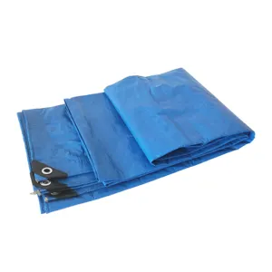 Good Services Professional raw material Pe tarpaulin custom pe transparent tarpaulin cover for Truck Cover Tents