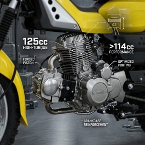 Motocicleta Todoterreno 2026 Trail 125cc Estilo PG-1 Alternativa a Scrambler, a Gasolina, CKD, Ahorro de Impuestos, Soporte para Pedidos de Prueba 20GP - Product Image 5