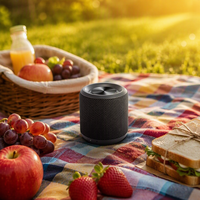 Ozzie H5 Mini Haut-parleur Son Clair Gadget Cool Haut-parleur Portable Étanche IPX7 Système Audio pour Randonnée en Plein Air Camping