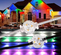 Luces LED de Píxeles RGB de 12V Ajustables para Exteriores, de PVC Impermeable IP68 de Alta Calidad