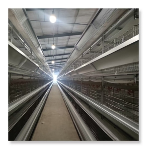 <span class=keywords><strong>Jaula</strong></span> <span class=keywords><strong>de</strong></span> capa <span class=keywords><strong>de</strong></span> pollo con batería tipo H <span class=keywords><strong>de</strong></span> 4 niveles, nuevas máquinas para poner <span class=keywords><strong>huevos</strong></span> galvanizadas en caliente para granjas avícolas, máquinas automatizadas para <span class=keywords><strong>gallinas</strong></span> ponedoras - Product Image 2