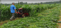 Nouvelle moissonneuse-batteuse mini moissonneuse-batteuse machines agricoles équipement machine de récolte de maïs