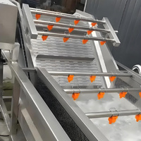 Automatische Bubble Surfing Fruitwasmachine voor fruit en groenten