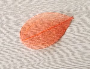 Daun padat pembuluh darah kering alami warna-warni untuk pembatas buku DIY bingkai lukisan buatan tangan dekorasi - Product Image 2