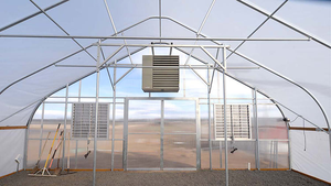 Economical <b>Single</b> Span Greenhouse Hot Dip Galvanized Steel Frame UV Protected PE Film Good Ventilation for Vegetables <b>Flowers</b> & - Product Image 2