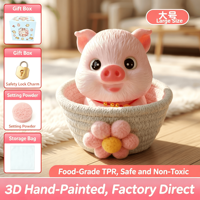 Jouets Squishy Kawaii en Silicone à Rebond Lent, Animaux (Renard, Chaton, Cochon), Anti-stress, Boîte Surprise Amusante pour Vente au Détail en Supermarché