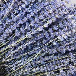 Mazzo di Fiori di Lavanda Essiccati Naturali, Bouquet Profumato per Decorazione Casa, Soggiorno, Camera da Letto, Aromaterapia e Interni - Product Image 1