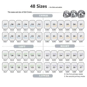 48 pz/scatola Apparecchi ortodontici pediatrici in acciaio inossidabile per adulti e bambini, corone molari primarie, strumento dentale, azionamento manuale - Product Image 2