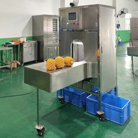 Automatische Commerciële Fruit Citrusappel Citroenschil Verwijderen Kern Verwijderaar Snijmachine Dunschiller Peeling Machine
