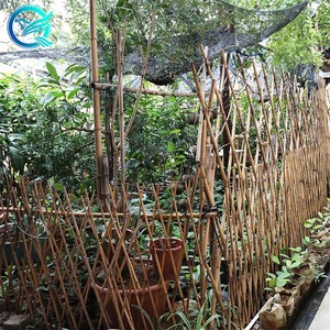 20-22MM clôture en bambou pour <span class=keywords><strong>le</strong></span> mur <span class=keywords><strong>de</strong></span> jardin clôtures et treillis <span class=keywords><strong>de</strong></span> toit - Product Image 3