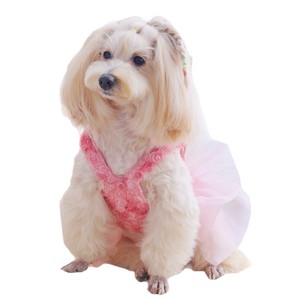 Flower Girls Dress Pink Tulle Skirt Rose Applique Sleeveless Party Dress For Kids - Product Image 5