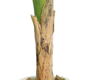 Vente en gros 150cm certifié UV artificiel grand <span class=keywords><strong>bananier</strong></span> en plastique intérieur maison et bureau décor pour hôtels et anniversaires - Product Image 4