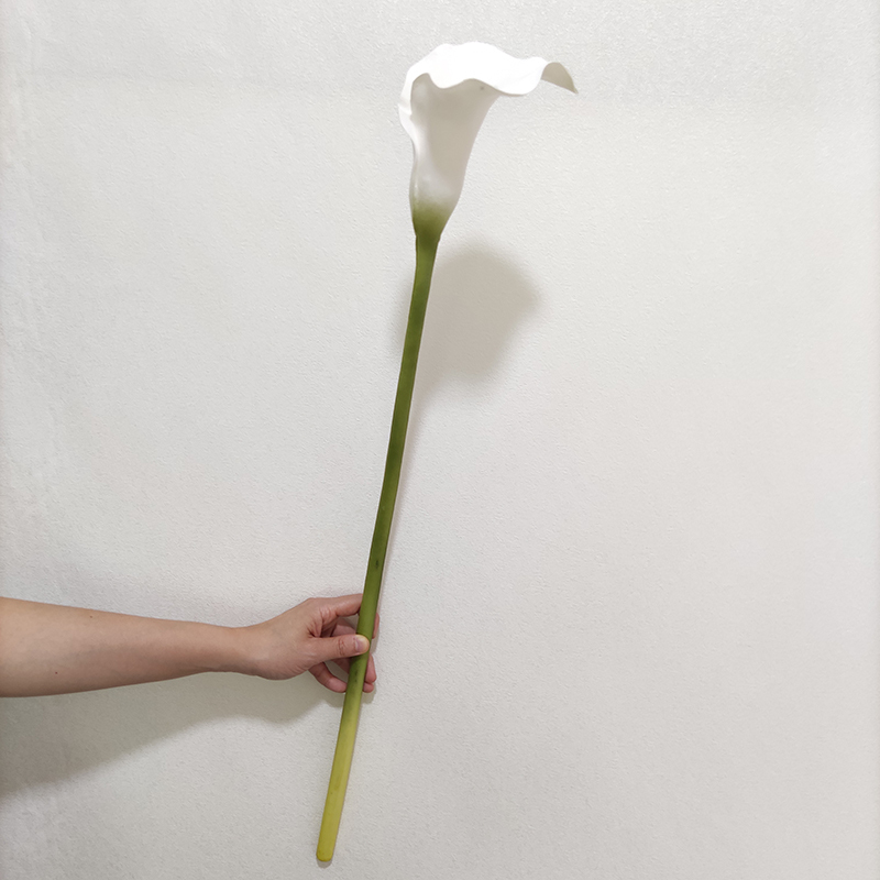 OX80035-2 blanc