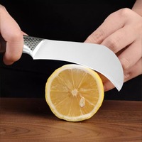 RVS klein fruitmes 140mm lemmet modern minimalistisch design voor het snijden en schillen van bananen, groenten en jackfruit, voor thuisgebruik