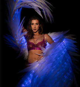 Ailes lumineuses magiques pour la danse, ailes de danse mobiles avec lumières, ailes d'ange blanches pour les spectacles de danse, ailes de scène - Product Image 2