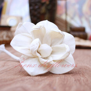 Fleurs de Magnolia en Bois de Sola Faite à la Main, Roseaux en Coton, Taille 6-10cm, Style Naturel Écologique, Accessoires Décoratifs pour la Maison - Product Image 2