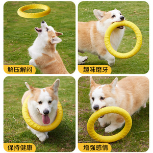 Nouvelle balle à mâcher pour chien, taille moyenne à grande, en matériau EVA, idéale pour divertir votre animal. Vente en gros - Product Image 2