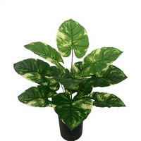 Plante verte transfrontalière, radis variegé, décoration de mariage et de maison, pot de Dieffenbachia, fausses feuilles, décoration murale douce