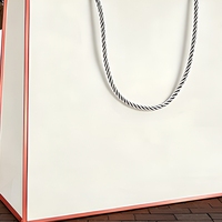 Sacs de luxe en gros OEM/ODM, sacs en papier pour vêtements, sacs cadeaux, sacs en papier personnalisés en vrac avec poignée, conception gratuite du logo