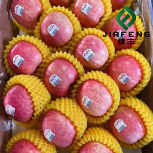 Apel Shandong Organik - Segar, Berair & Renyah 100% Matang Ukuran Dapat Disesuaikan (4-6cm) Umur Simpan 6 Bulan - Product Image 2