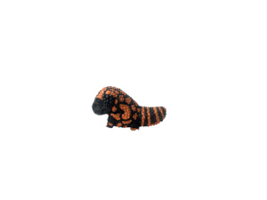 Lézard Roi Série Heloderma Suspectum Animal Artificiel Modèle Décoration Résine Lézard Ornement - Product Image 4