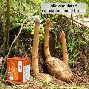 Extrait de Tian Ma à base de plantes de qualité alimentaire Gastrodia Elata poudre aide au sommeil pour boire emballé dans un récipient en plastique - Product Image 3