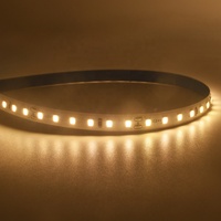 Bande lumineuse LED flexible en cuivre intelligente IP68 SMD2835 24V pour l'éclairage paysager avec télécommande