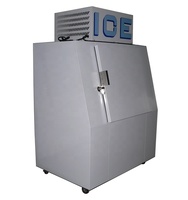 Réfrigérateur extérieur à porte inclinée avec distributeur de glace et refroidissement direct par paroi froide, personnalisable par le fabricant