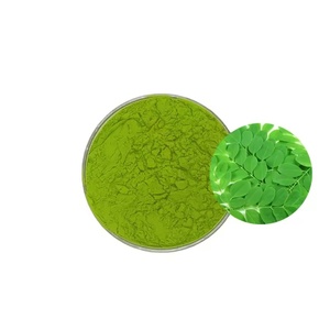 Hữu Cơ Chứng nhận <span class=keywords><strong>Moringa</strong></span> lá chiết xuất bột <span class=keywords><strong>Moringa</strong></span> bột số lượng lớn bột - Product Image 2