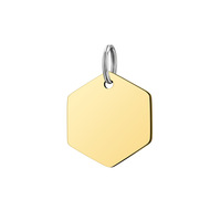 Pendentifs Breloques en Acier Inoxydable Plaqué Or, Forme Hexagonale, Motif Rose Bleu Noir Arc-en-ciel, Personnalisables avec Logo, Prix Abordable