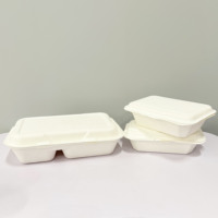 Boîte en canne à sucre étanche, service OEM, étanche pour les plats à emporter, compostable, qualité alimentaire, utilisation en restaurant avec couvercle, utilisation en restaurant C888