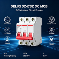 DZ47LE-63 RCBO Pemutus Sirkuit 220V 400V 16A 32A 40A 2 Kutub 30mA 100mA 300mA Proteksi Li Kapasitas Pemutusan 6kA