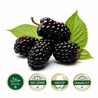 Bayas de morera secas, sabor dulce y ácido natural, superfruta, snack premium, ingrediente para repostería y té, certificado GMP, Gansu, China, venta al por mayor a granel