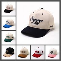 Op maat gemaakte logo 3D geborduurde structuur katoenen sport pet met twee kleuren, 5 panelen, baseballcap, gorras, hoeden voor heren en dames
