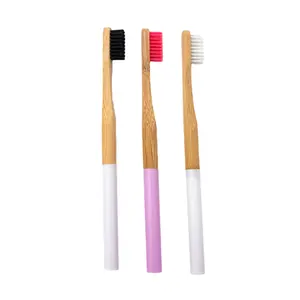 वयस्कों के लिए पर्यावरण अनुकूल बांस टूथब्रश बायोडिग्रेडेबल चारकोल गैर विषैले पेंटिंग रंग गोल हैंडल टूथ ब्रश